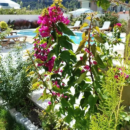 Villa Ceylin *